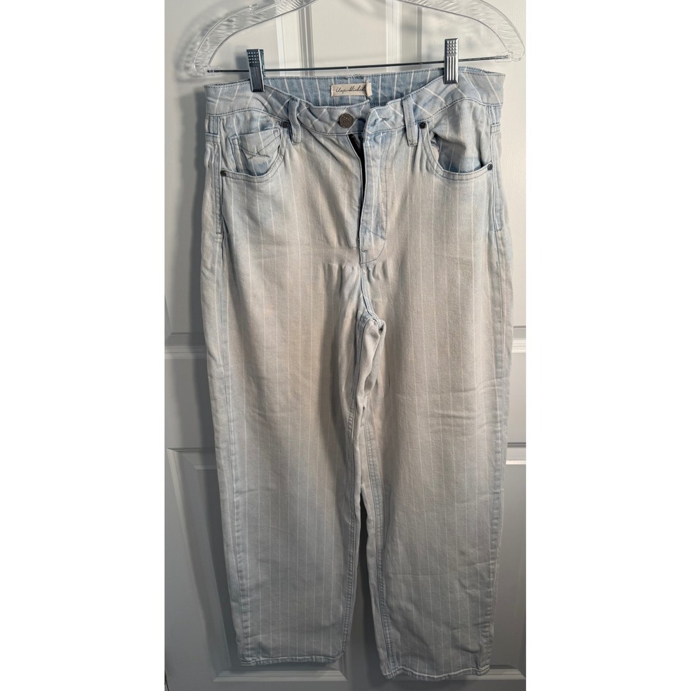 Unpublished Pinstripe High Rise Straight Leg Jeans Light Wash Blue Size 29